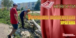 Устраняем последствия урагана