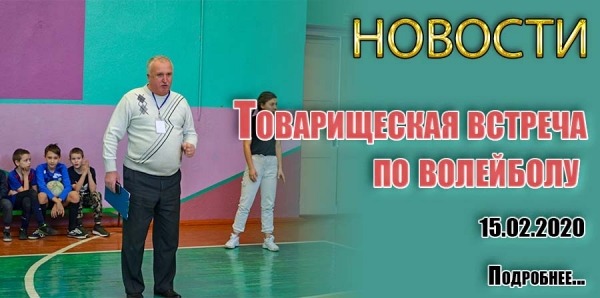 Товарищеская встреча по волейболу