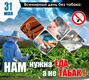 «Беларусь против табака»