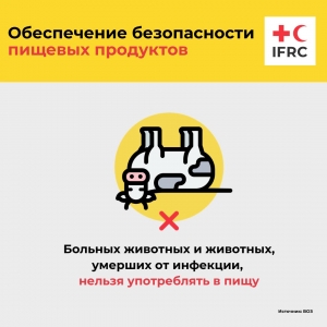 Обеспечение безопасности пищевых продуктов