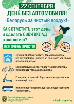 День без автомобиля
